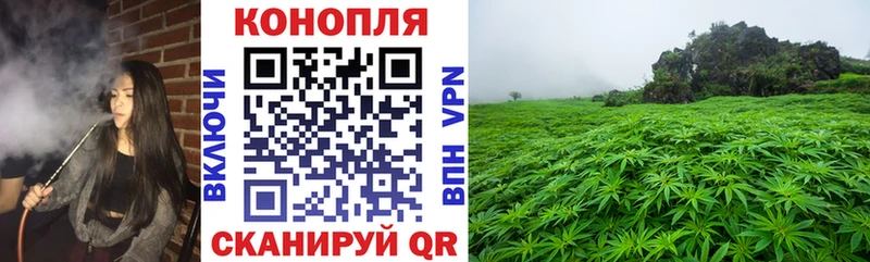 Наркошоп Александров КОКАИН  Меф мяу мяу  LSD-25  Каннабис 