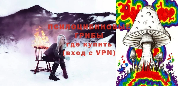 ПСИЛОЦИБИНОВЫЕ ГРИБЫ Аркадак