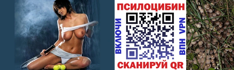 где купить наркотик  Александров  Псилоцибиновые грибы ЛСД 